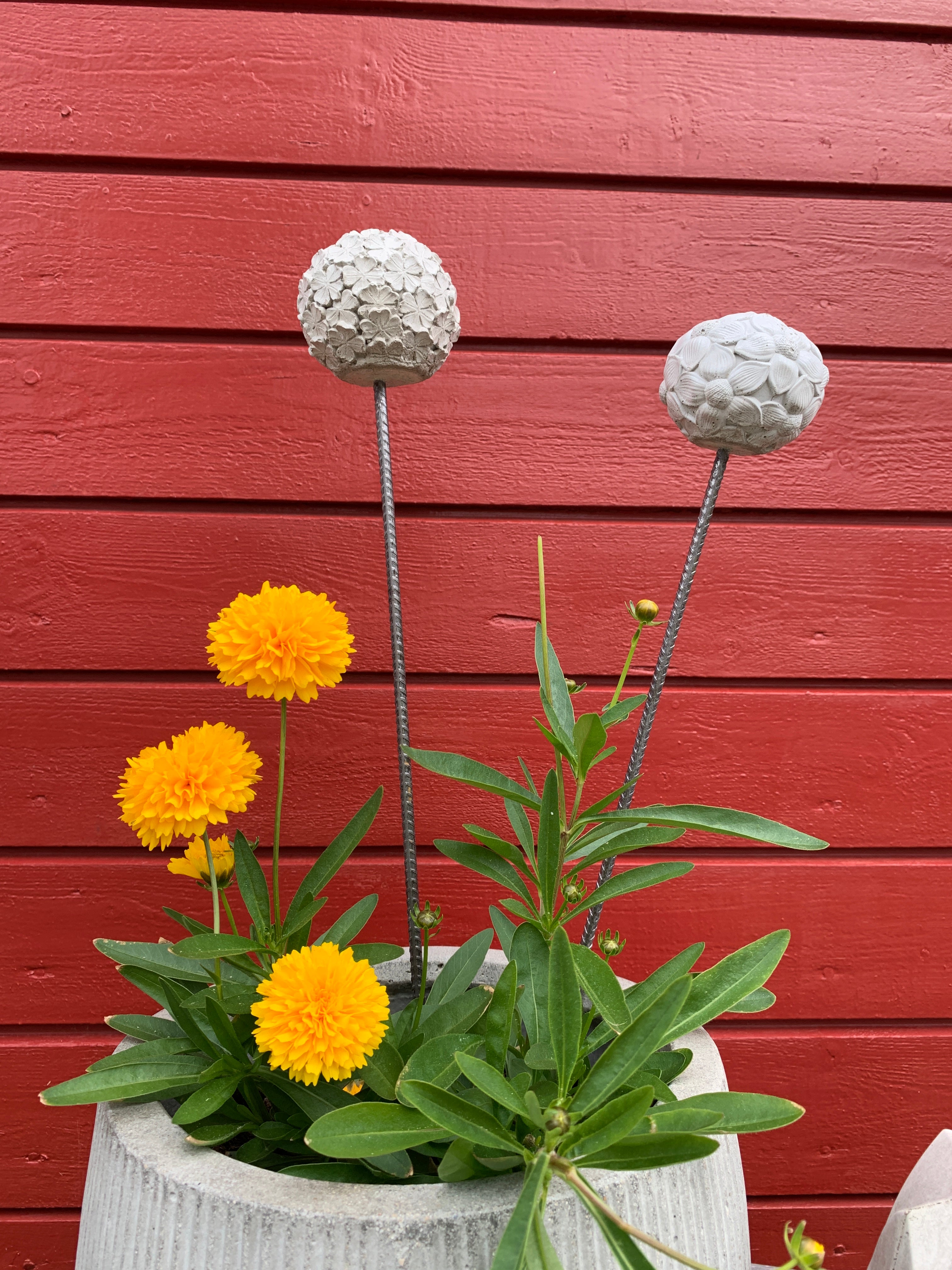 Hagekule Tusenfryd på pinne